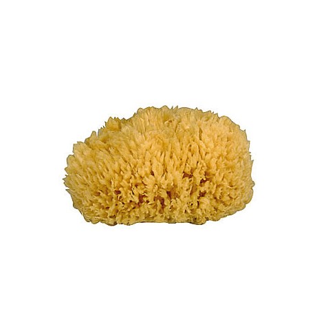Esponja Natural